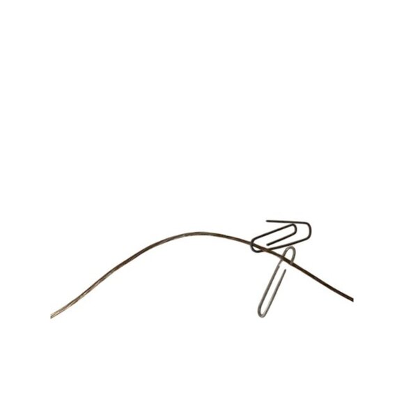 Vintage Sepia-Toned Framed Photograph Of Woman Fishing At Fox River - Picture 5 of 9